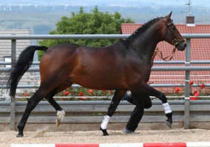 Sky Walker v. Beg xx Foto: Richterich